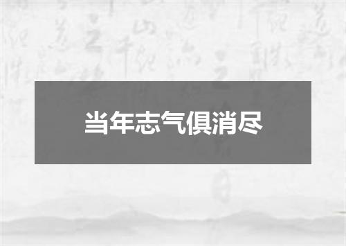 当年志气俱消尽