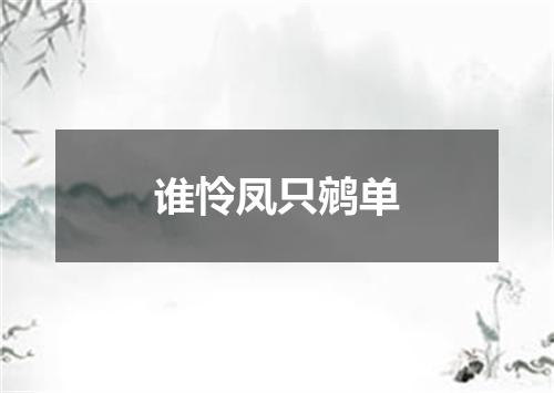 谁怜凤只鹓单
