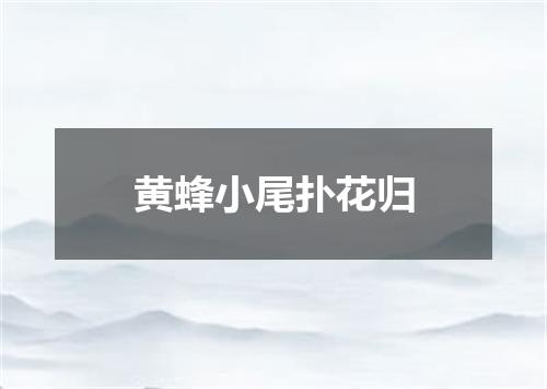 黄蜂小尾扑花归