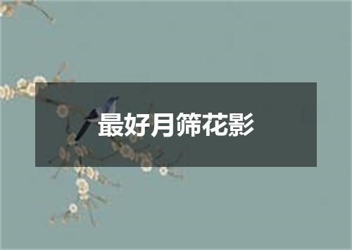 最好月筛花影
