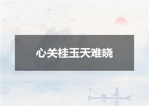 心关桂玉天难晓