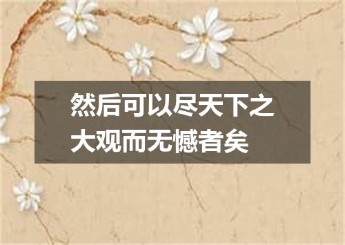 然后可以尽天下之大观而无憾者矣