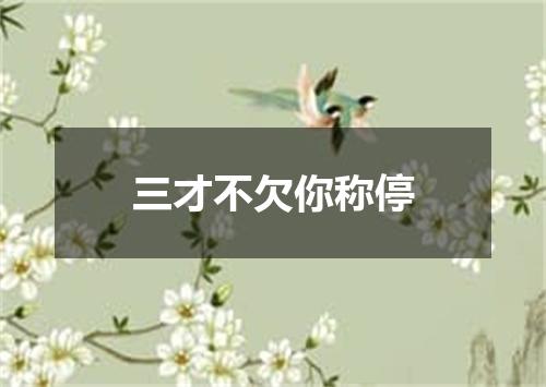 三才不欠你称停