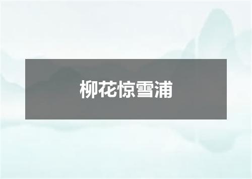 柳花惊雪浦