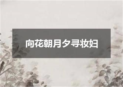 向花朝月夕寻妆妇