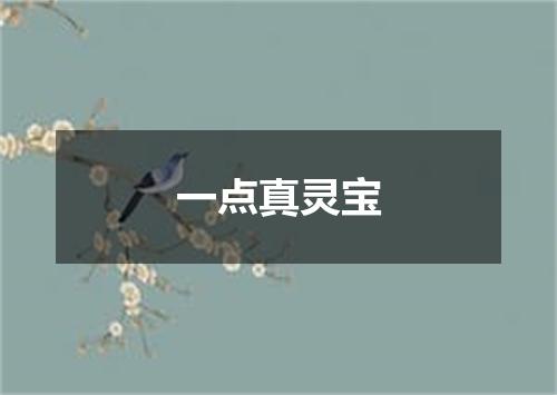 一点真灵宝