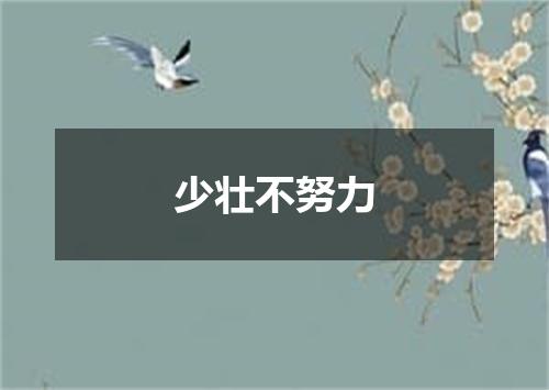 少壮不努力