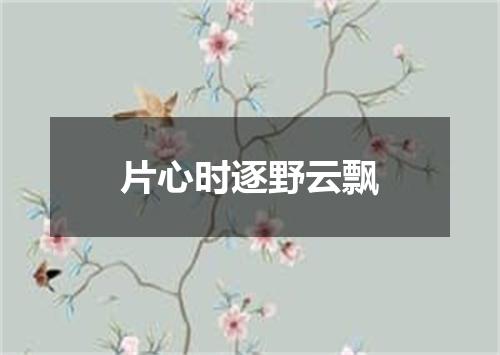 片心时逐野云飘