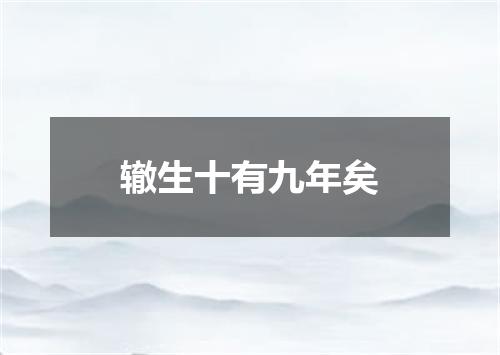 辙生十有九年矣