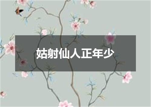 姑射仙人正年少