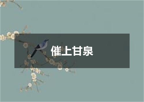 催上甘泉