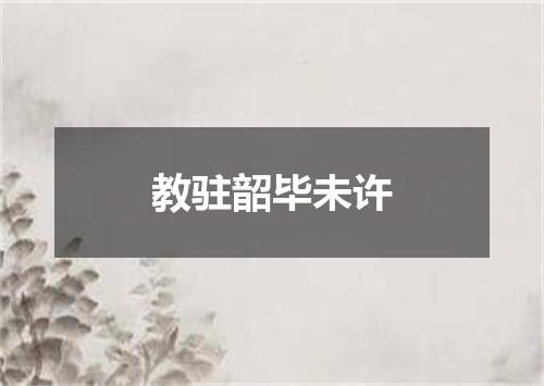 教驻韶毕未许