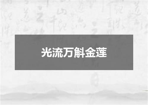 光流万斛金莲