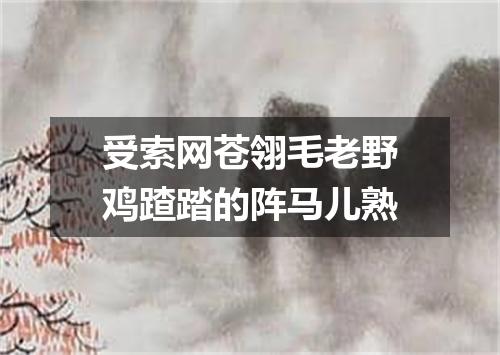 受索网苍翎毛老野鸡蹅踏的阵马儿熟
