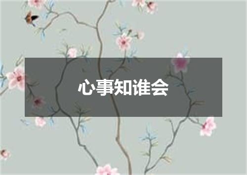 心事知谁会