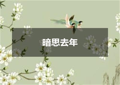 暗思去年