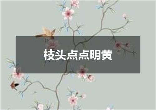 枝头点点明黄