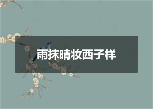 雨抹晴妆西子样