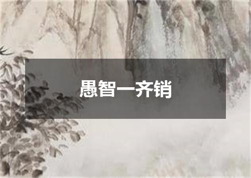 愚智一齐销