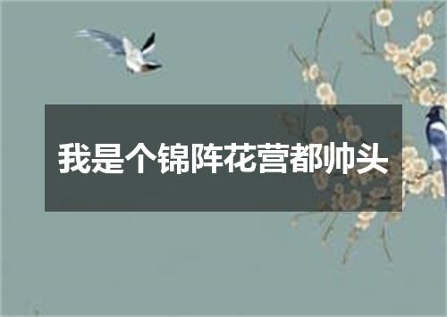 我是个锦阵花营都帅头