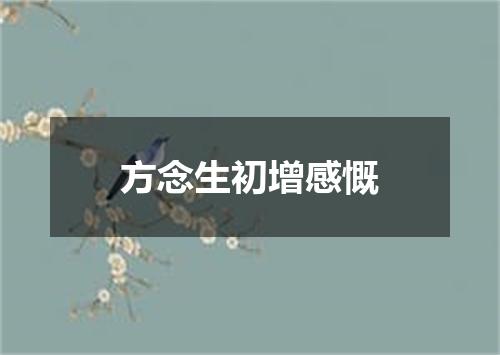 方念生初增感慨