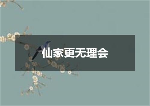 仙家更无理会
