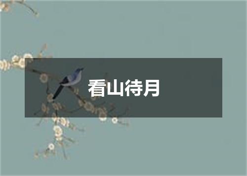 看山待月