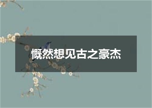 慨然想见古之豪杰