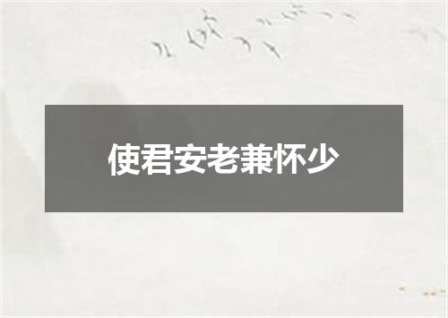 使君安老兼怀少