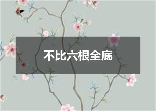 不比六根全底