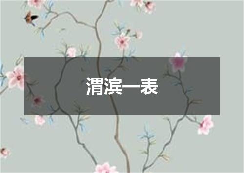 渭滨一表