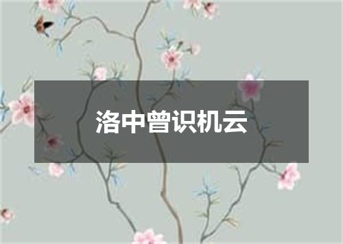 洛中曾识机云