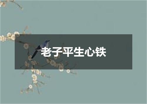 老子平生心铁