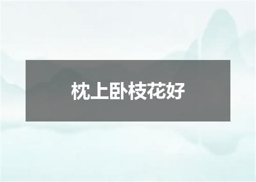 枕上卧枝花好