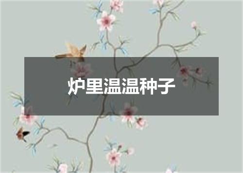 炉里温温种子