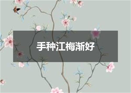 手种江梅渐好