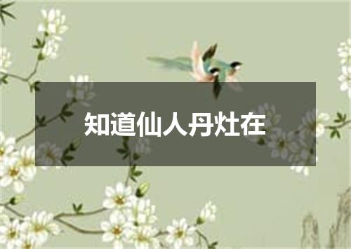 知道仙人丹灶在