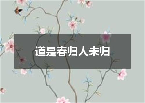 道是春归人未归