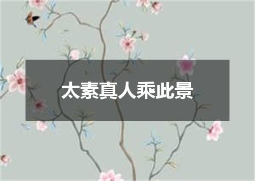 太素真人乘此景