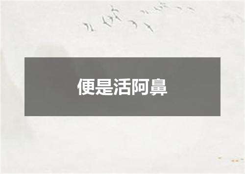 便是活阿鼻
