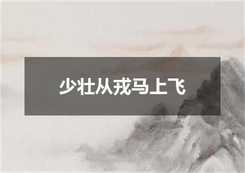 少壮从戎马上飞