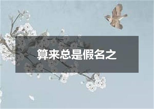 算来总是假名之