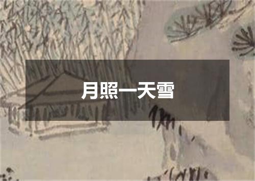 月照一天雪