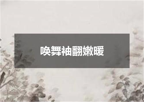 唤舞袖翻嫩暖