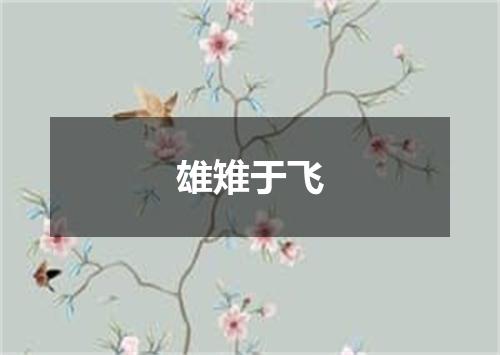 雄雉于飞