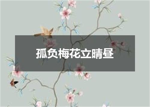孤负梅花立晴昼