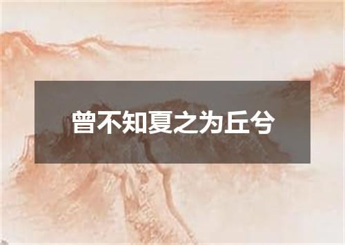 曾不知夏之为丘兮