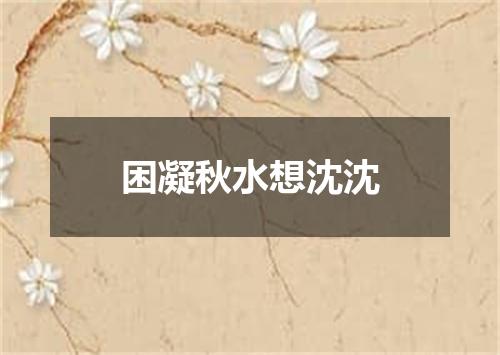 困凝秋水想沈沈