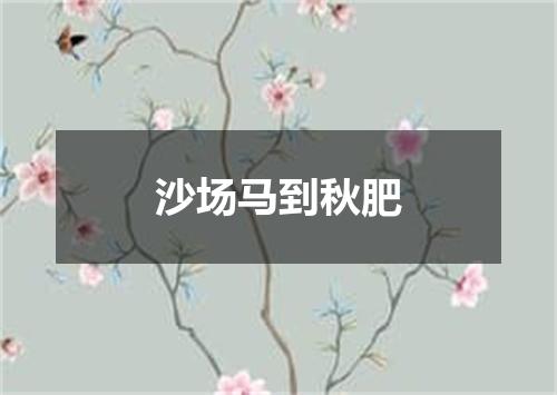 沙场马到秋肥