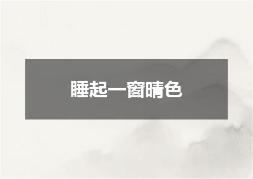 睡起一窗晴色